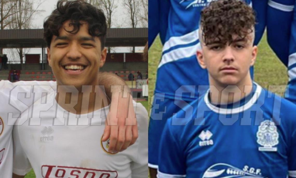 Adam Aissous Alex Bushi