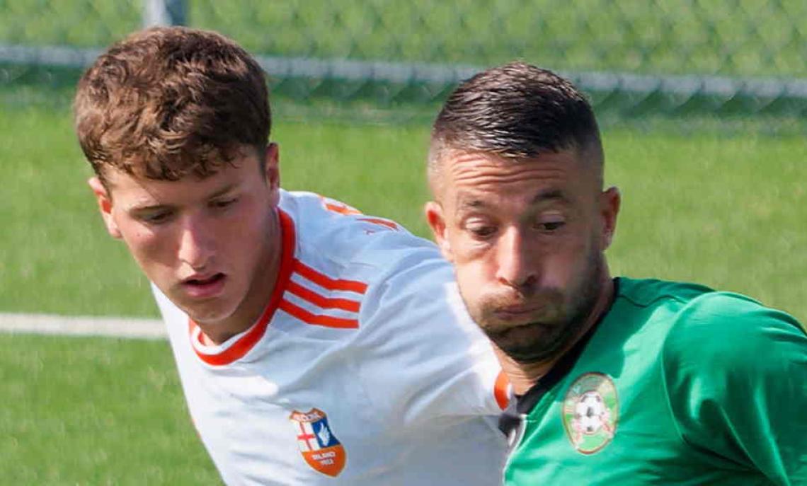 SERIE D ALCIONE