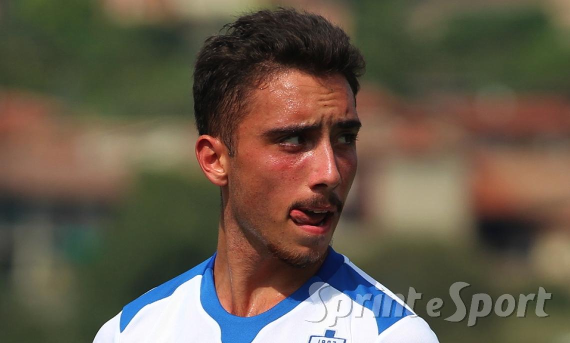 Gatti Varesina