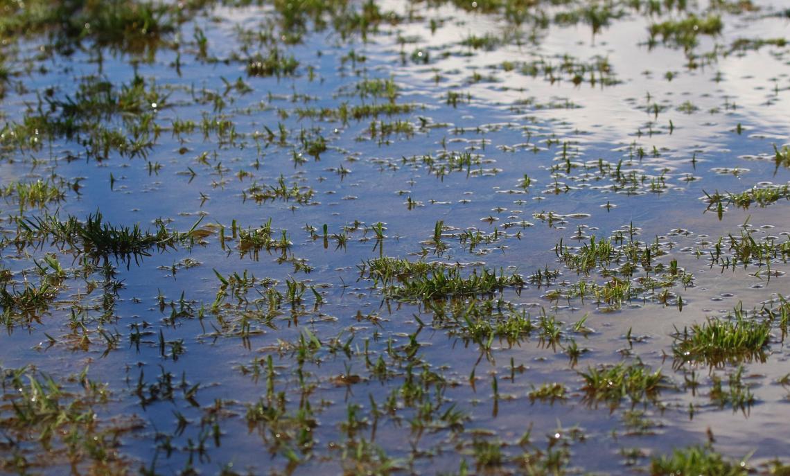 Campo impraticabile, ma senza linee tracciate: sarà rinvio o 0-3 a tavolino?