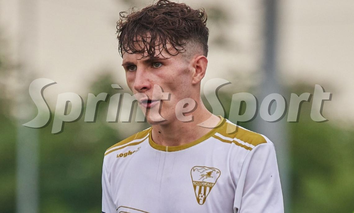 PINETO SERIE C - GIANLUCA GERMINARIO