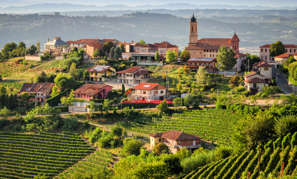Le Langhe: guida essenziale per un viaggio tra vino, colline e tradizioni