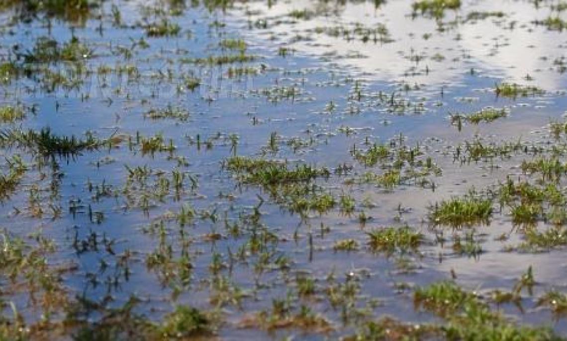 ALLERTA METEO TOSCANA