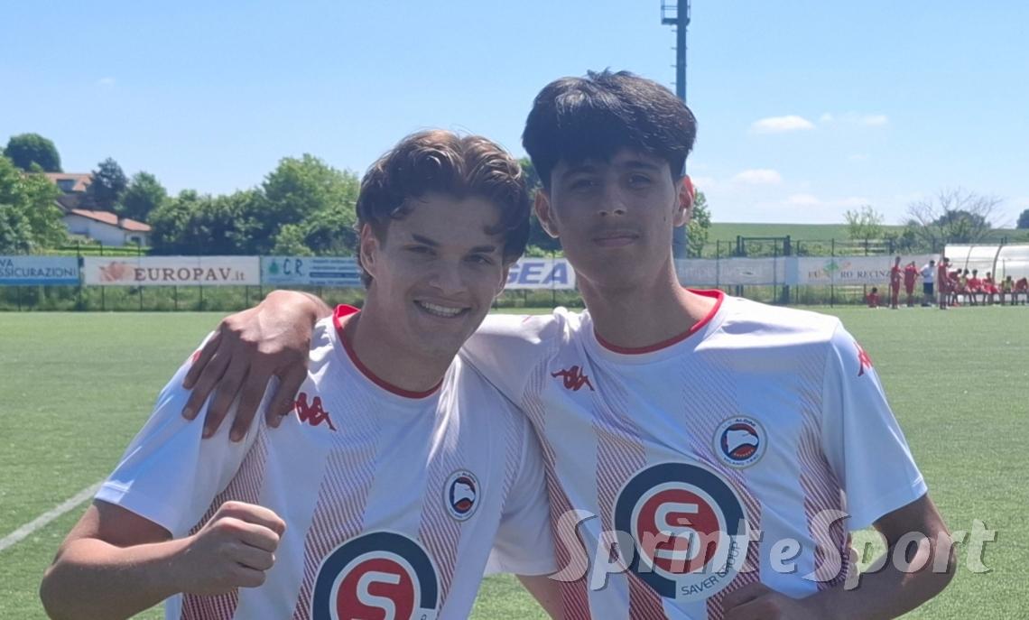 Nedelcu e Arellano