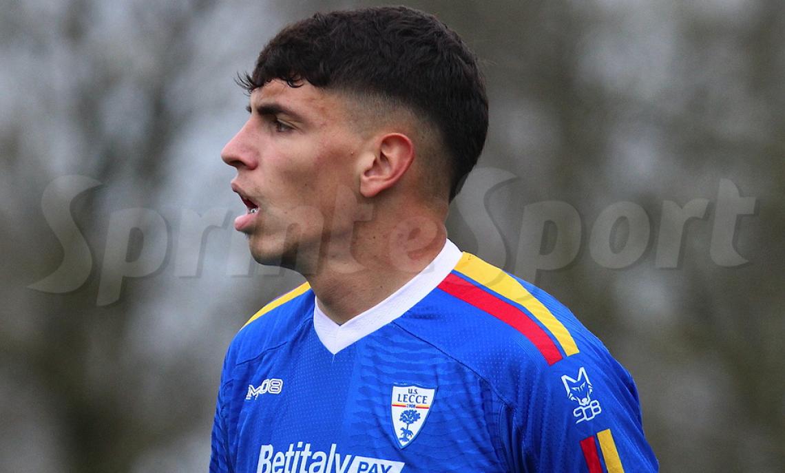 vlad rafaila