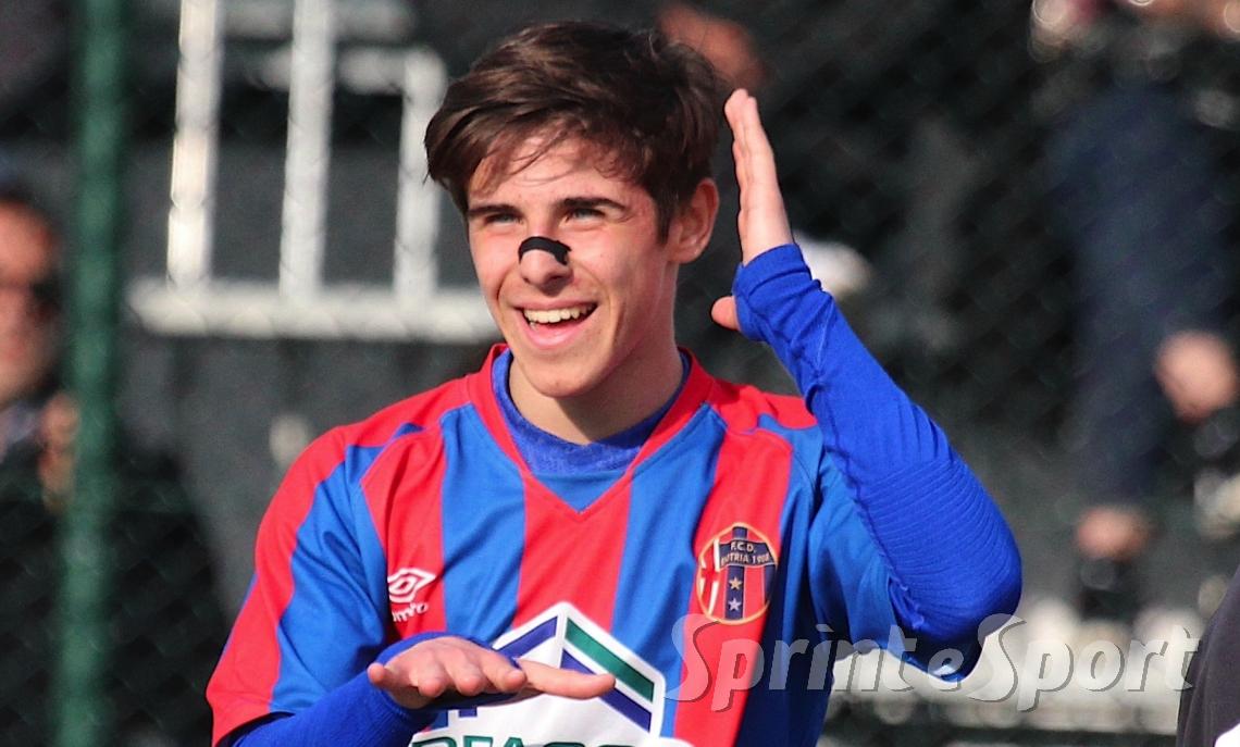 Simone Anzani, Enotria