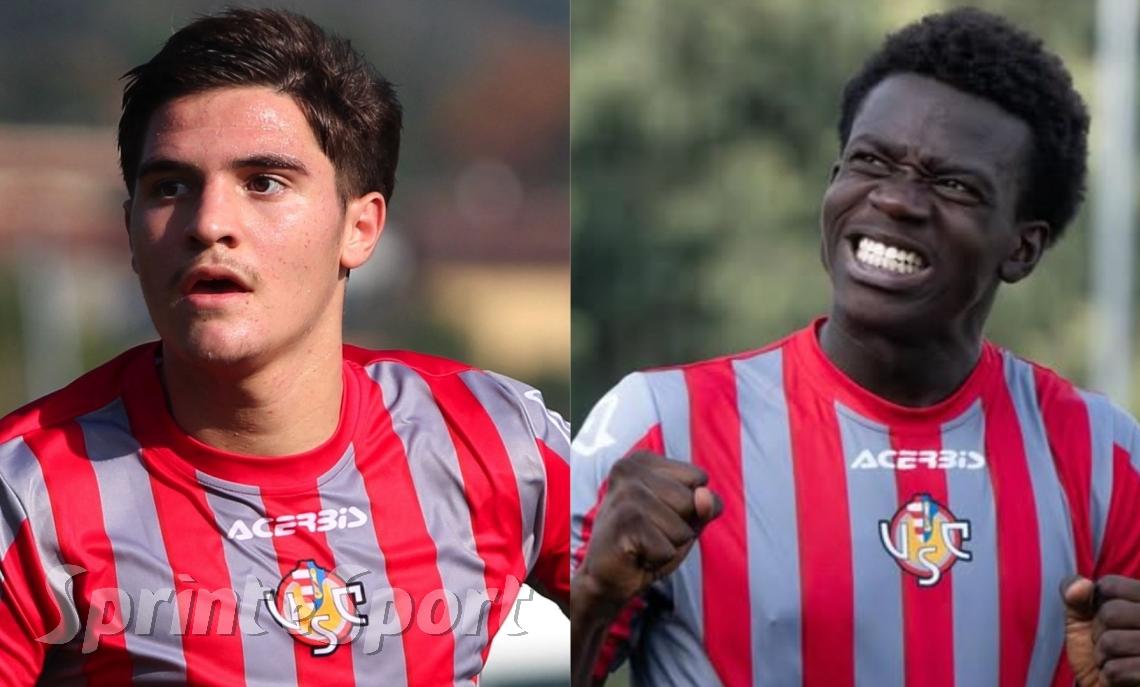 Di Palma-Herzuah