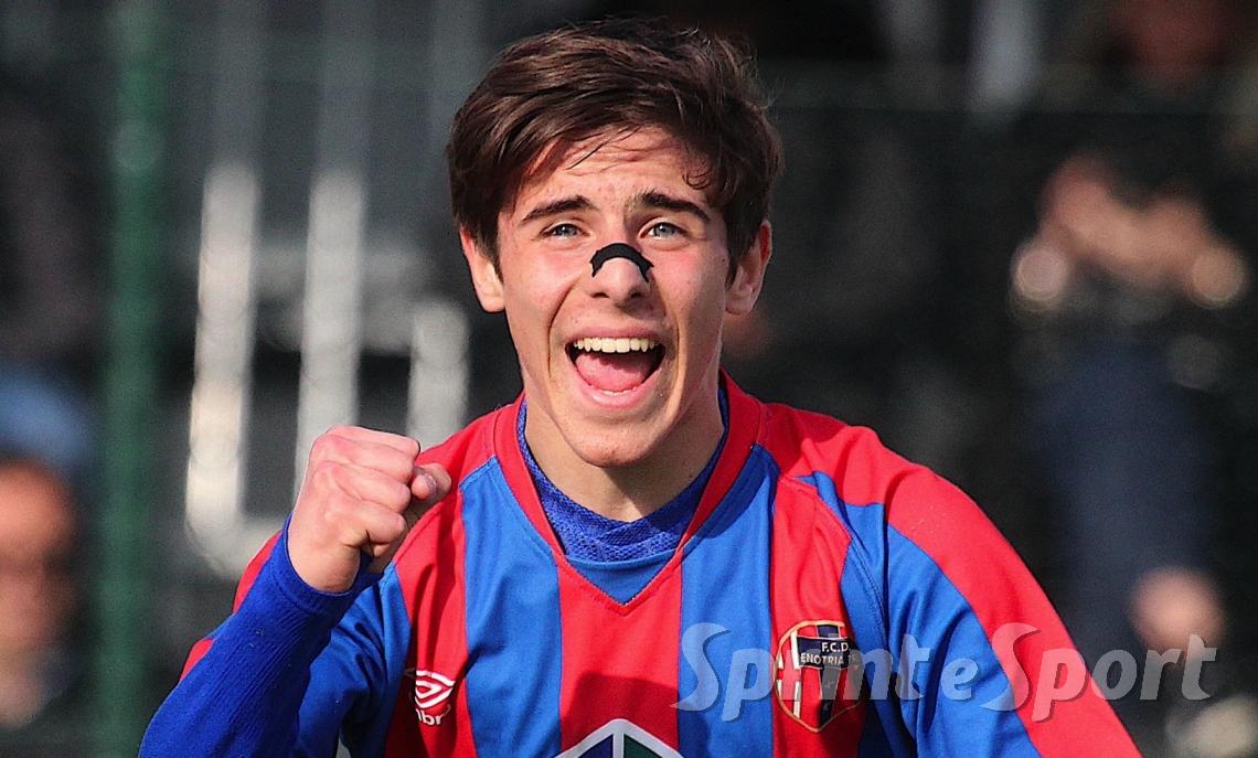 Simone Anzani, Enotria