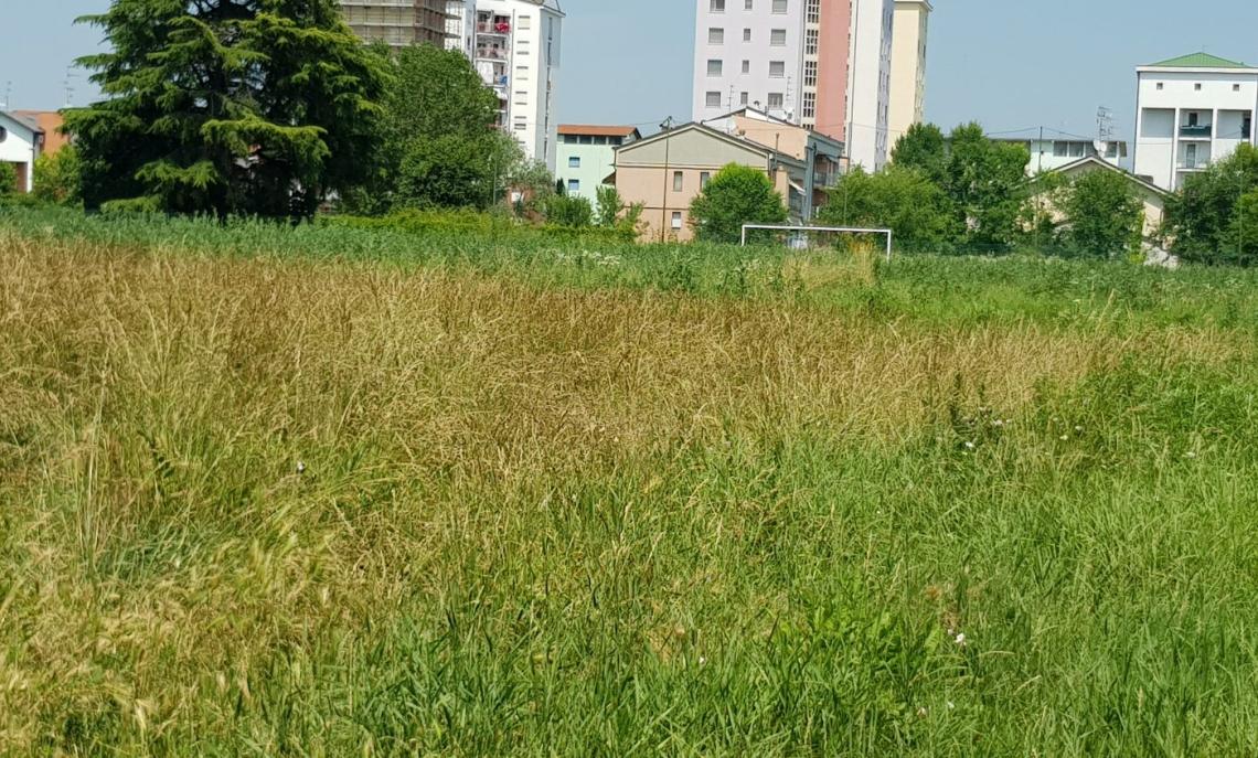 20180617_143703