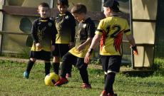 accademia milanese