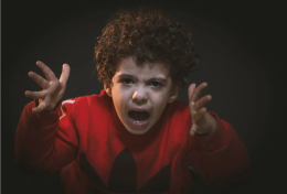 Gli 'automatismi' e la fisiobiologia della mente umana: emozioni e reazioni