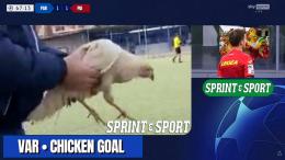 Invasione di campo nel big match, scatta la caccia al pollo