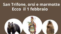 1 Febbraio tra orsi, san Trifone e marmotte