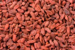 La leggenda dice: mangia le bacche di goji e vivi più a lungo!