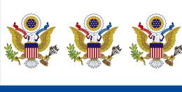 Le elezioni negli Stati Uniti: sono pazzi questi americani!