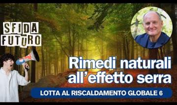 Qual è il momento migliore per piantare un albero?