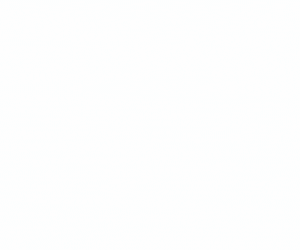 1761033228584.gif