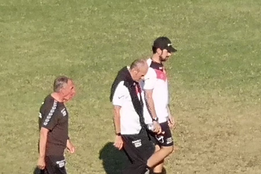 Zeman
