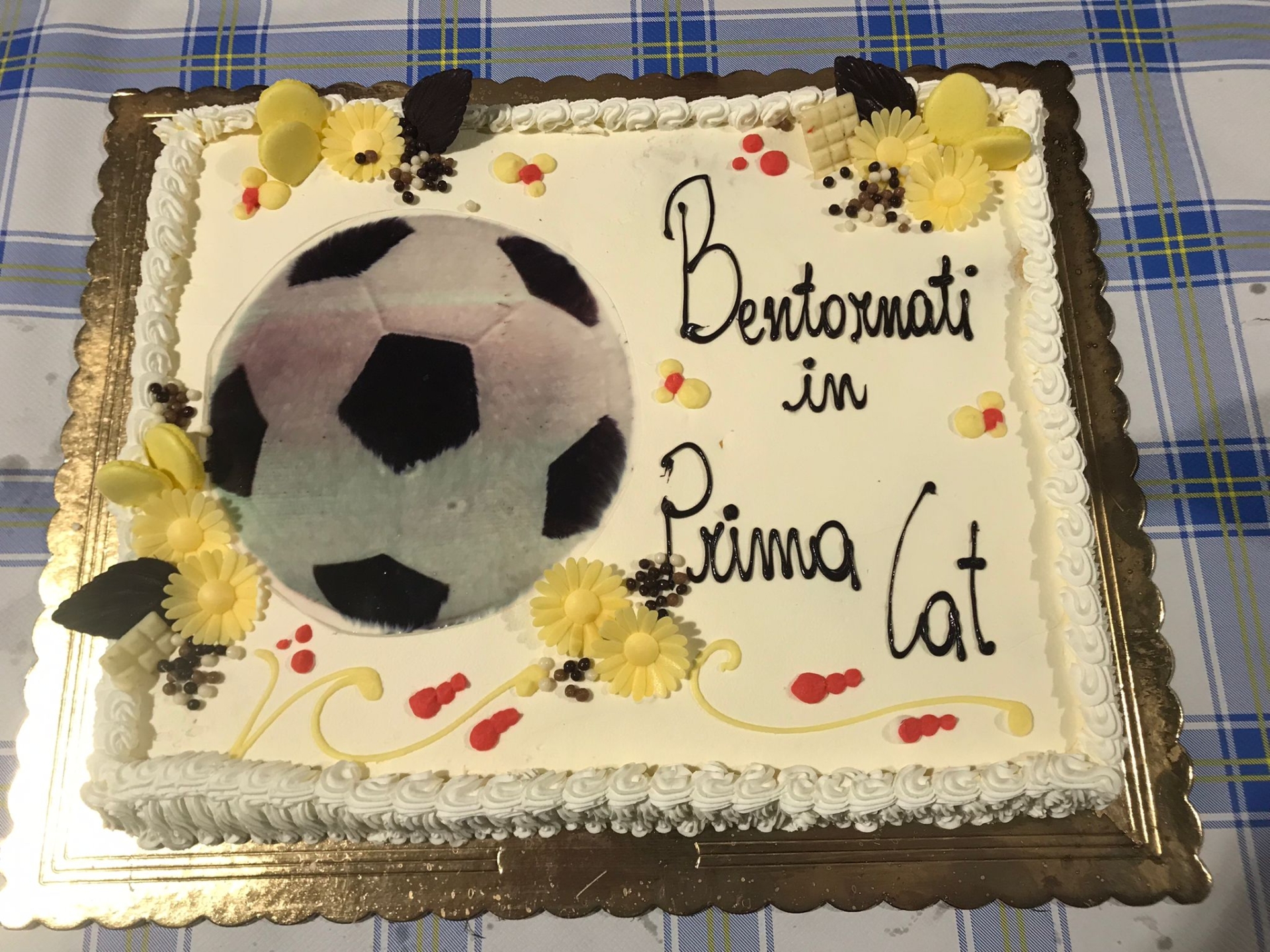torta torta